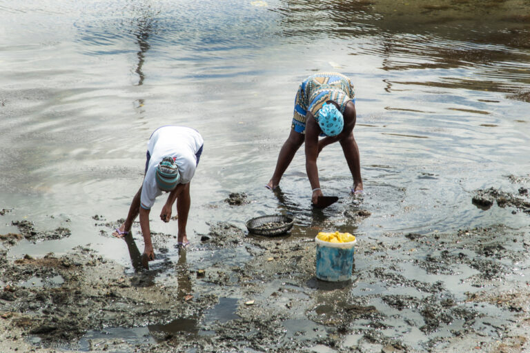 Salvador,,Bahia,,Brazil,-,August,25,,2018:,Shellfish,Gatherers,Working