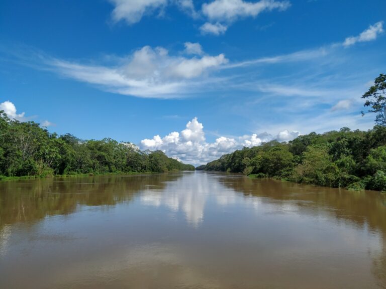 WhatsApp Image 2024-01-06 at 05.02.22_db868da0